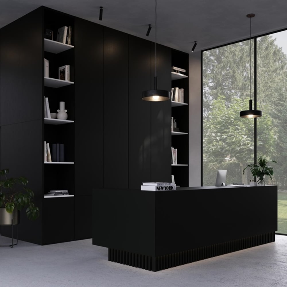Voorbeeldkast met Elegant black oak