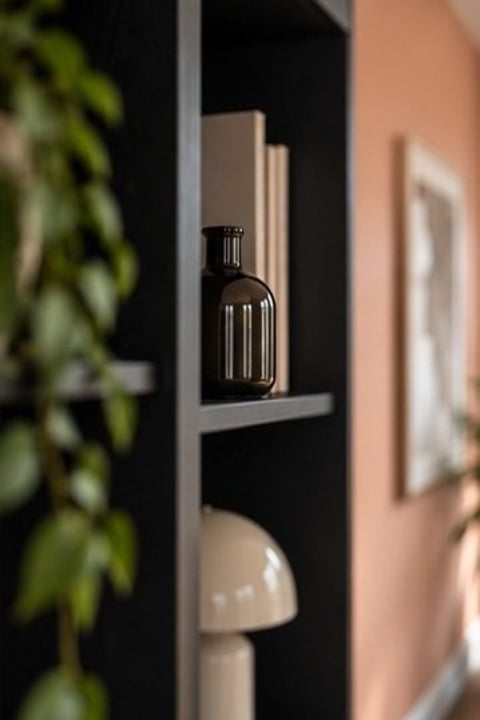 Stylingdetail: lamp en fles op een plank, met een plant op de voorgrond