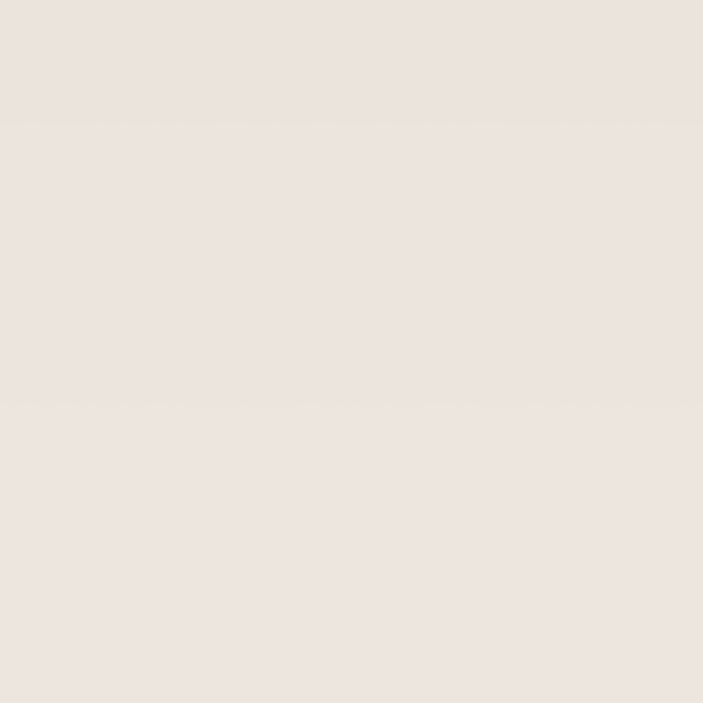 Close-up van Seashell